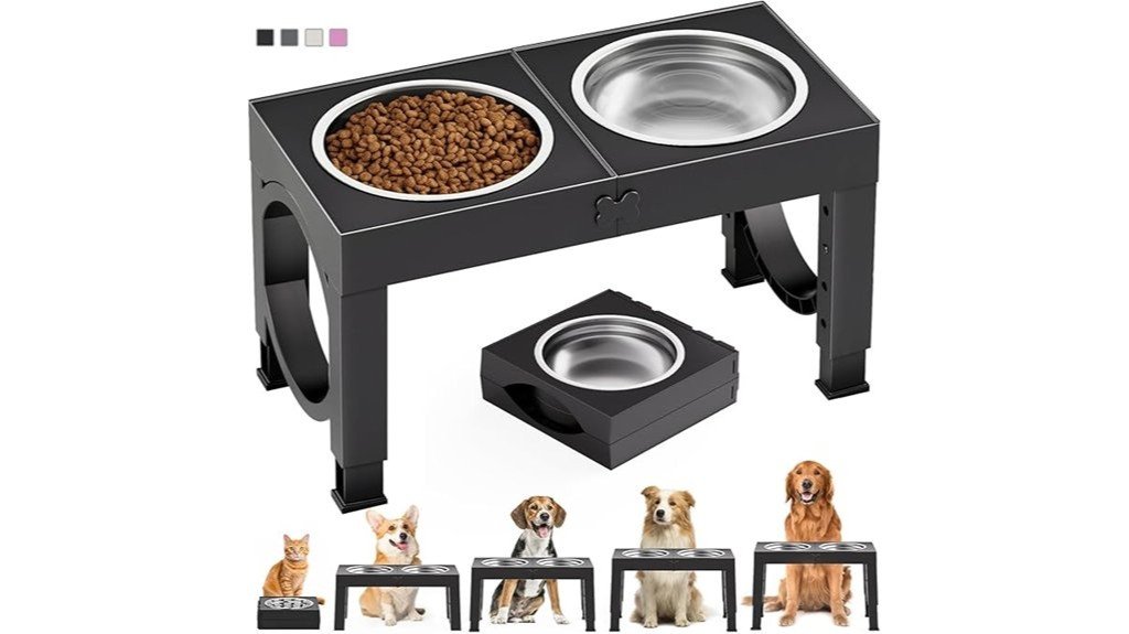 elevated dog bowls design