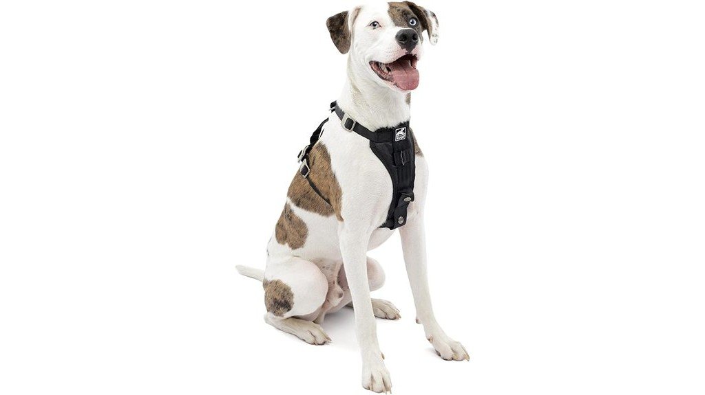 medium dog harness strength